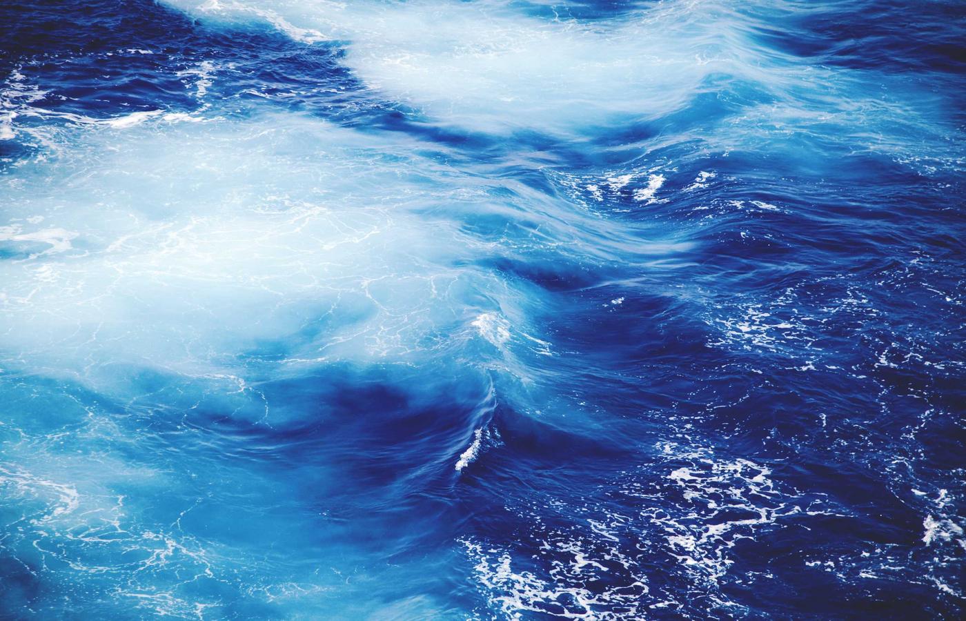 Foto von Julia Meier