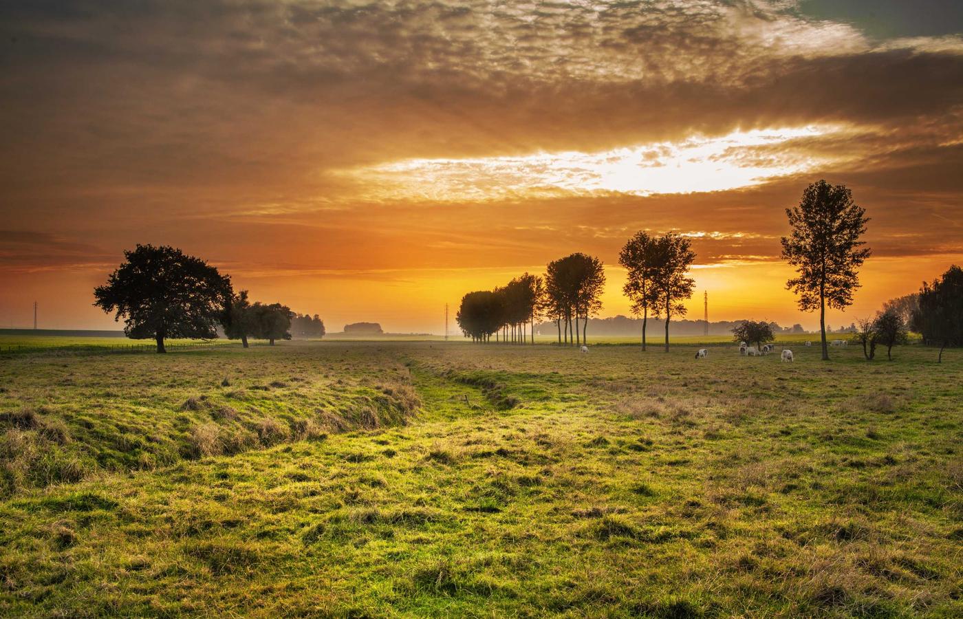 Foto von Sophie Bauer